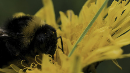 Similar image 22336013