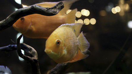 Similar image 22336021