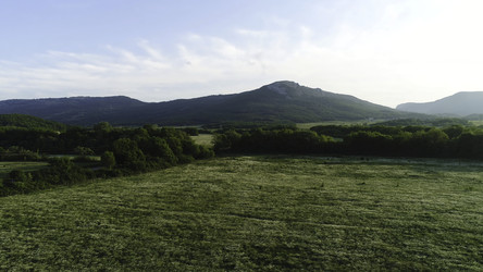 Similar image 22336022