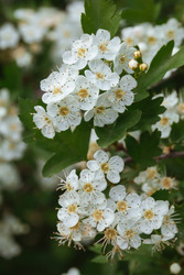 Similar image 22334294