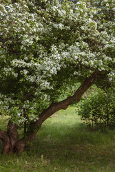 Similar image 22334295