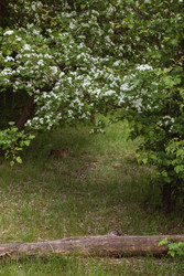 Similar image 22334296