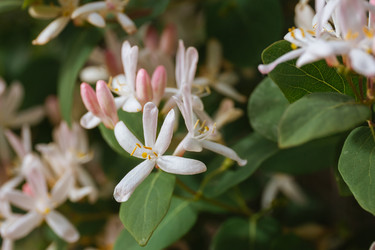 Similar image 22334297