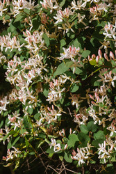 Similar image 22334298