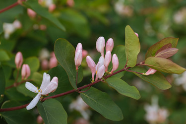 Similar image 22334299