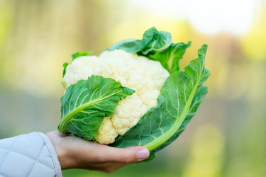 Similar image 22338946