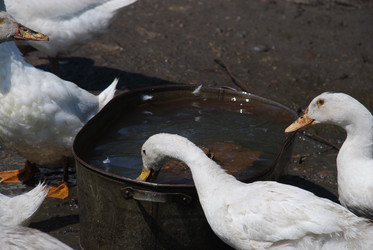 Similar image 22335111