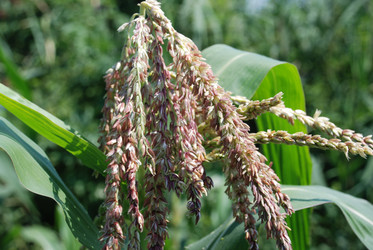 Similar image 22334945