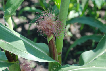 Similar image 22334973