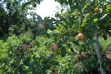 Similar image 22334976