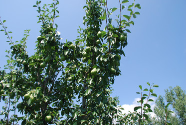 Similar image 22334978