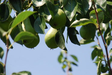 Similar image 22334980