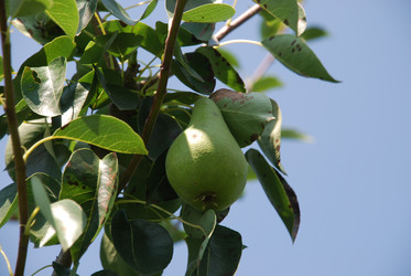 Similar image 22334981