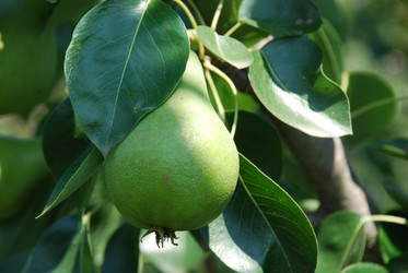 Similar image 22334983