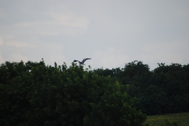 Similar image 22335078