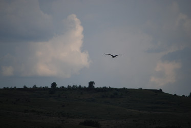 Similar image 22335079