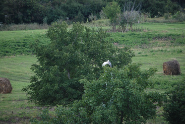 Similar image 22335080