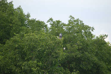 Similar image 22335081