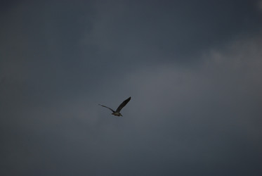 Similar image 22335082