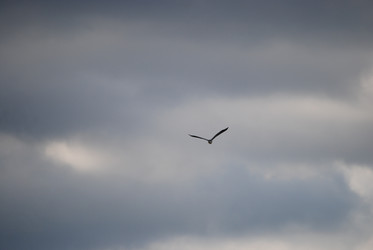 Similar image 22335083