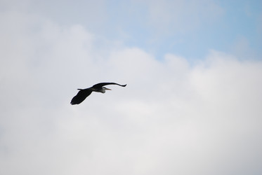 Similar image 22335090