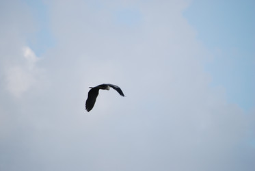 Similar image 22335091