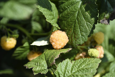 Similar image 22334313