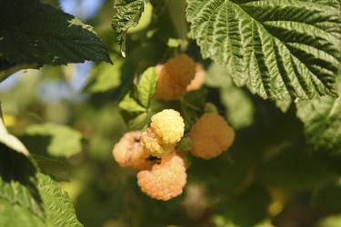 Similar image 22334314