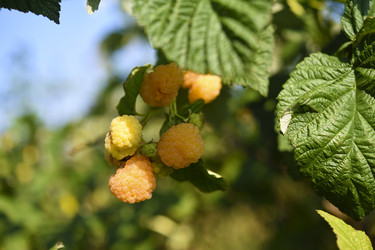 Similar image 22334315