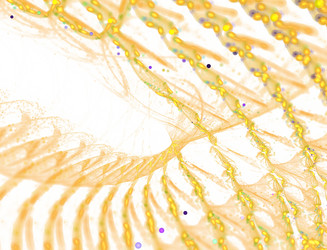 Similar image 22338241