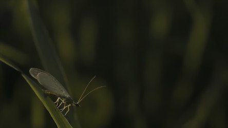 Similar image 22336047