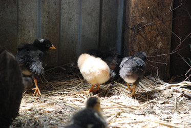 Similar image 22347643