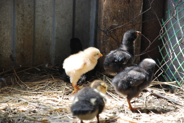 Similar image 22347644