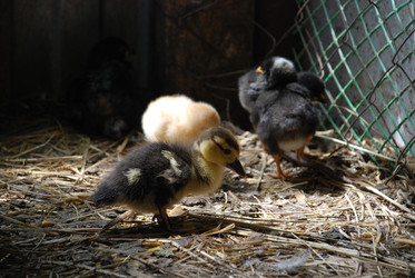 Similar image 22347645