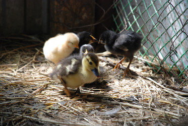 Similar image 22347646