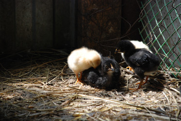 Similar image 22347649