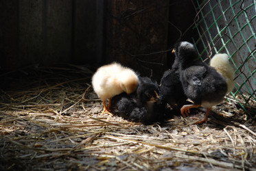 Similar image 22347650