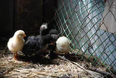 Similar image 22347651