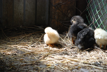 Similar image 22347652