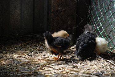 Similar image 22347654