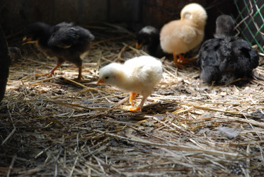 Similar image 22347655