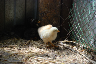 Similar image 22347657