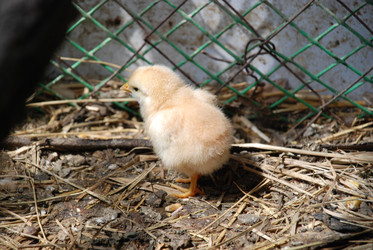 Similar image 22347658