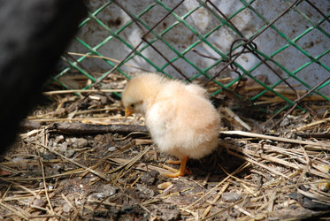 Similar image 22347659