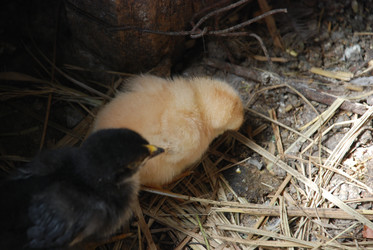 Similar image 22347660