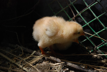 Similar image 22347664