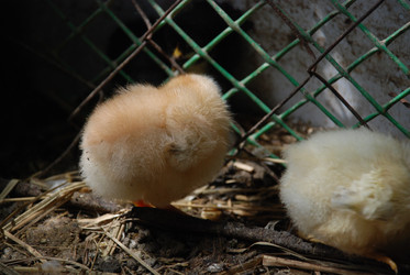 Similar image 22347666