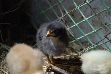 Similar image 22347669