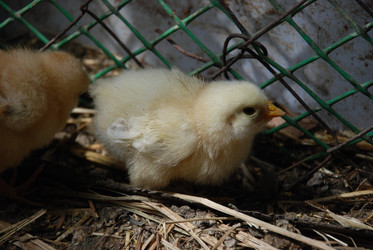 Similar image 22347671