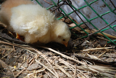 Similar image 22347673